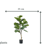 Ficus Lyrata artificial - Mona | 90 cm