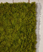 Alfombra de musgo artificial de Islandia - Natalie | 50x50 cm