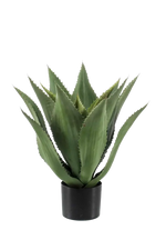 Künstliche Agave - Aki, 55 cm, Kunstpflanze von aplanta, im schwarzen Topf, in Natur, für drinnen