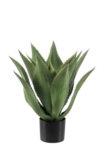Künstliche Agave - Aki, 55 cm, Kunstpflanze von aplanta, im schwarzen Topf, in Natur, für drinnen