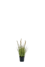 Künstliches Lampenputzergras - Paulin auf transparentem Hintergrund mit echt wirkenden Kunstblättern. Diese Kunstpflanze gehört zur Gattung/Familie der "Gräser" bzw. "Kunst-Gräser".