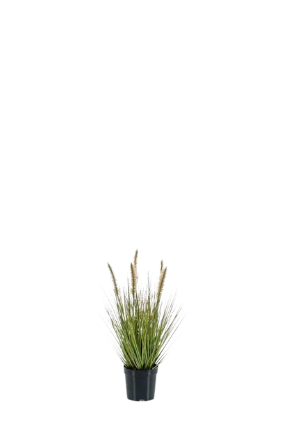 Künstliches Lampenputzergras - Paulin auf transparentem Hintergrund mit echt wirkenden Kunstblättern. Diese Kunstpflanze gehört zur Gattung/Familie der "Gräser" bzw. "Kunst-Gräser".