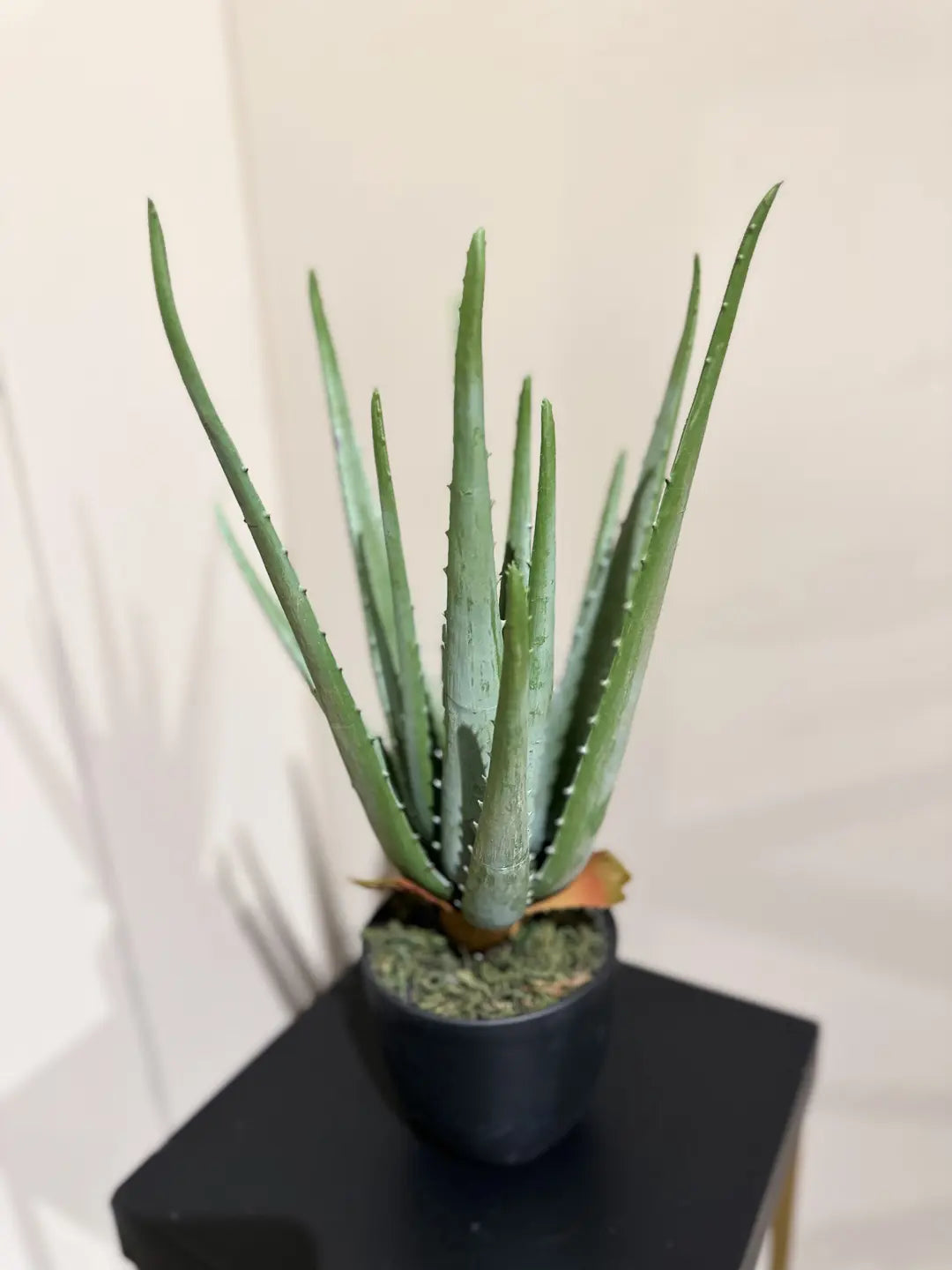 Künstliche Aloe - Penelope | 35 cm | Kunstpflanze von aplanta