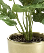 Künstlicher Monstera Busch - Lotte | 26 cm auf transparentem Hintergrund, als Ausschnitt fotografiert, damit die Details der Kunstpflanze bzw. des Kunstbaums noch deutlicher zu erkennen sind.