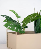 Arbusto artificial de monstera - Lotte | 30 cm
