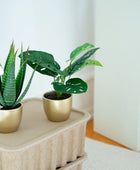 Arbusto artificial de monstera - Lotte | 30 cm