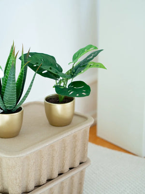 Arbusto artificial de monstera - Lotte | 30 cm