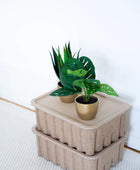 Arbusto artificial de monstera - Lotte | 30 cm