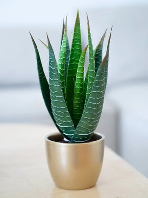 Aloe artificial - Patricia | 23 cm