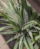 Césped artificial - Gianna | 33 cm