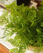 Helecho artificial - Gustav | 40 cm