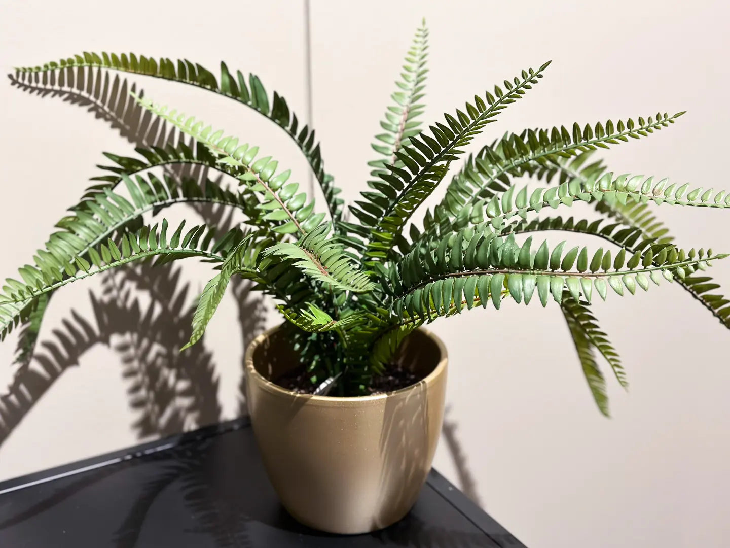 Künstlicher Farn - Isaac | 58 cm | Kunstpflanze von aplanta