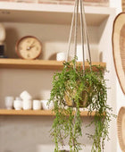Rhipsalis artificial - Karla | 90 cm