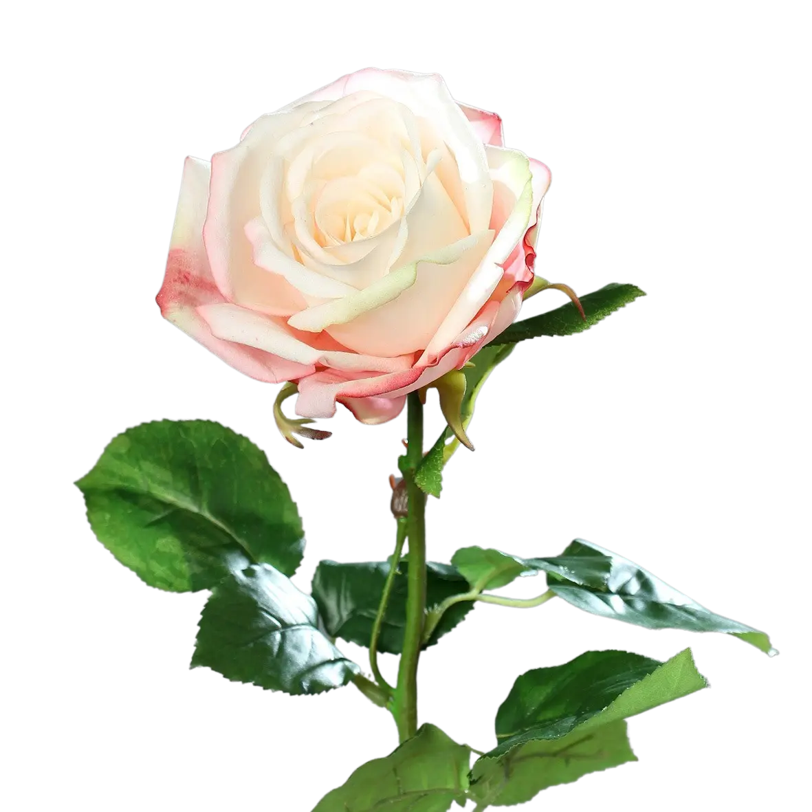 Rosa artificial - Xenia | 66 cm
