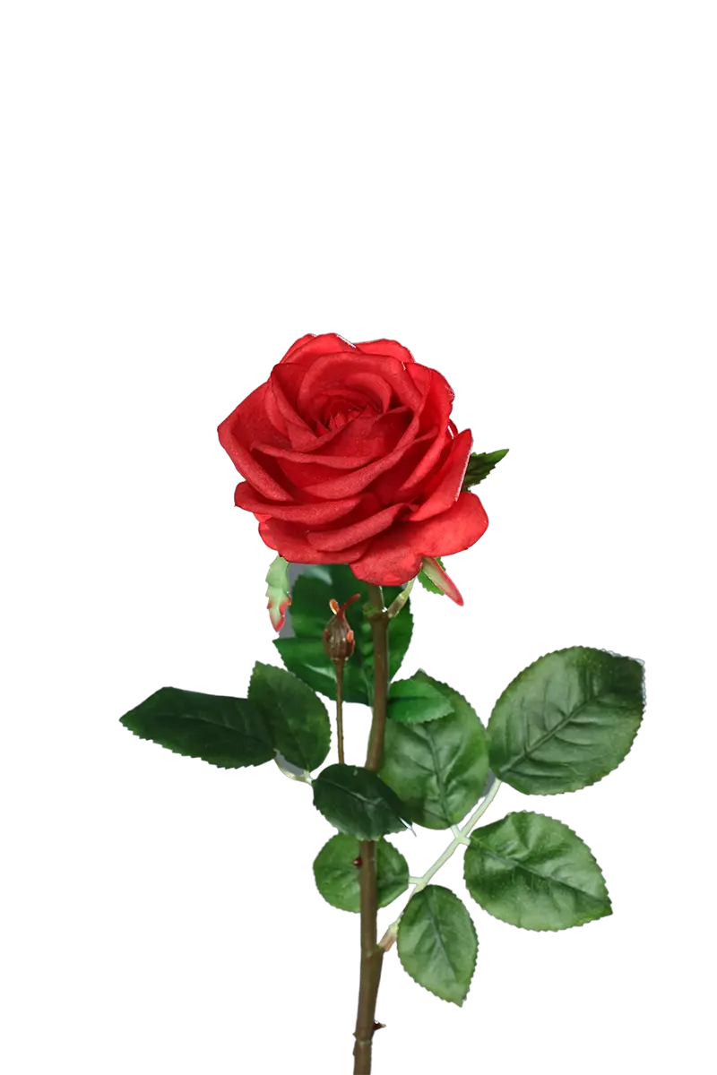 Rosa artificial - Philipos | 66 cm