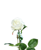 Rosa artificial - Alexandros | 66 cm