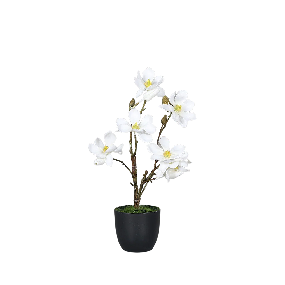 Hochwertige Kunstblumen | Künstliche Magnolie - Michele | 36 cm von 🌱aplanta