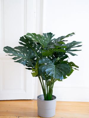 Monstera artificial - Thilo | 80 cm