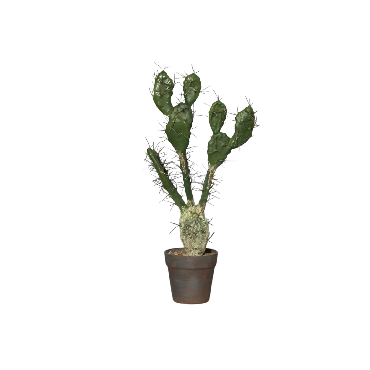 Cactus artificial con agujas - John | 58 cm