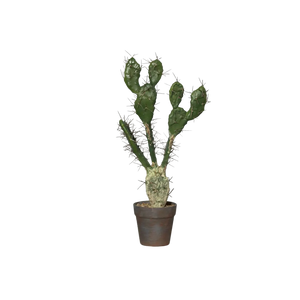 Cactus artificial con agujas - John | 58 cm