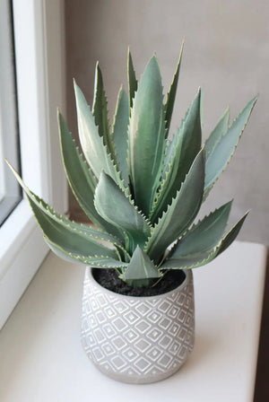 Aloe artificial - Jacky | 33 cm