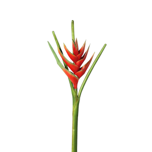 Heliconias artificiales - Prince | 126 cm
