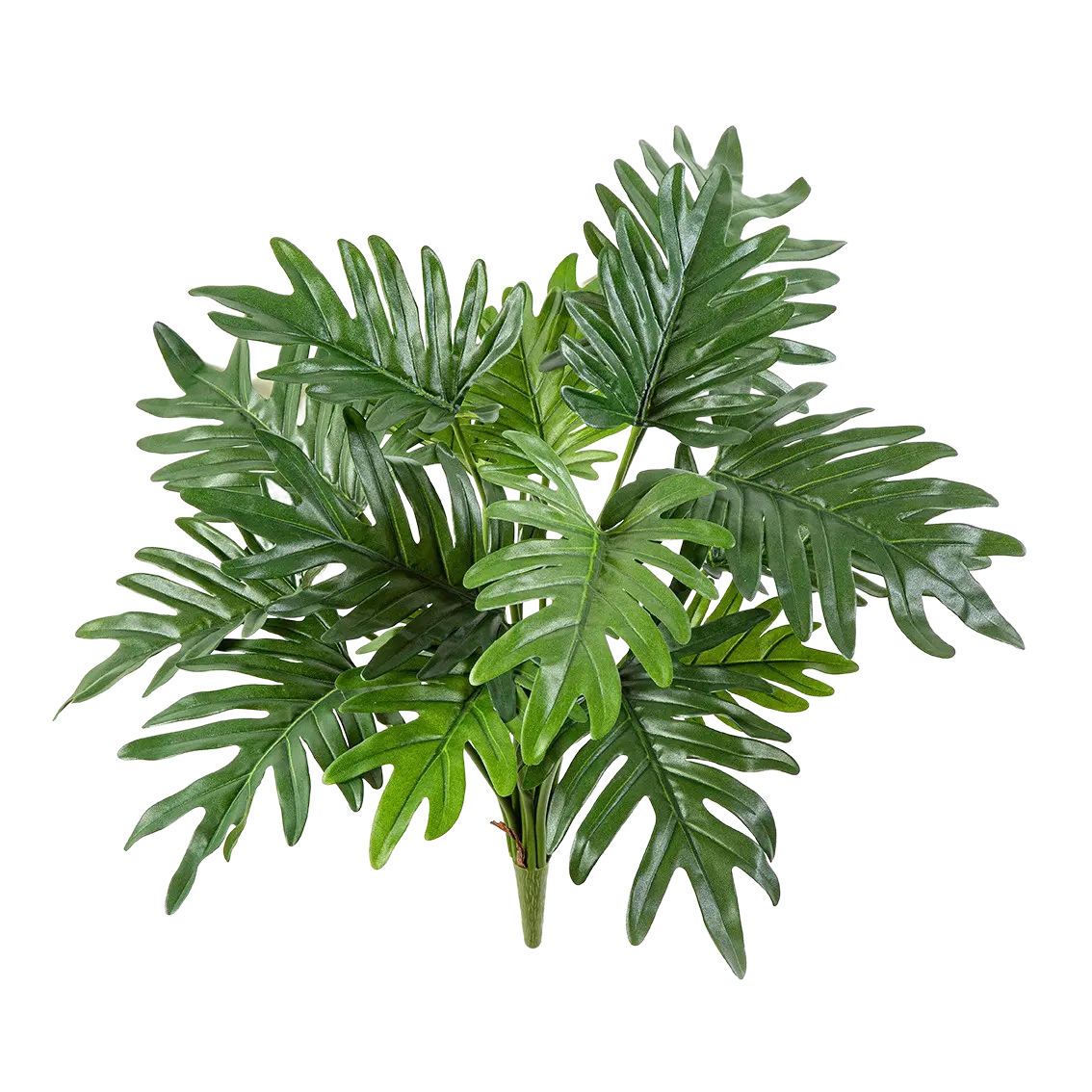 Filodendro Artificial - Selin | 50 cm