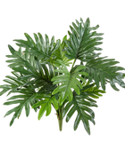 Filodendro Artificial - Selin | 50 cm