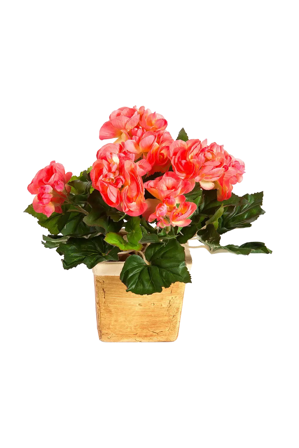 Begonia artificial - planta plug - Tom | 20 cm