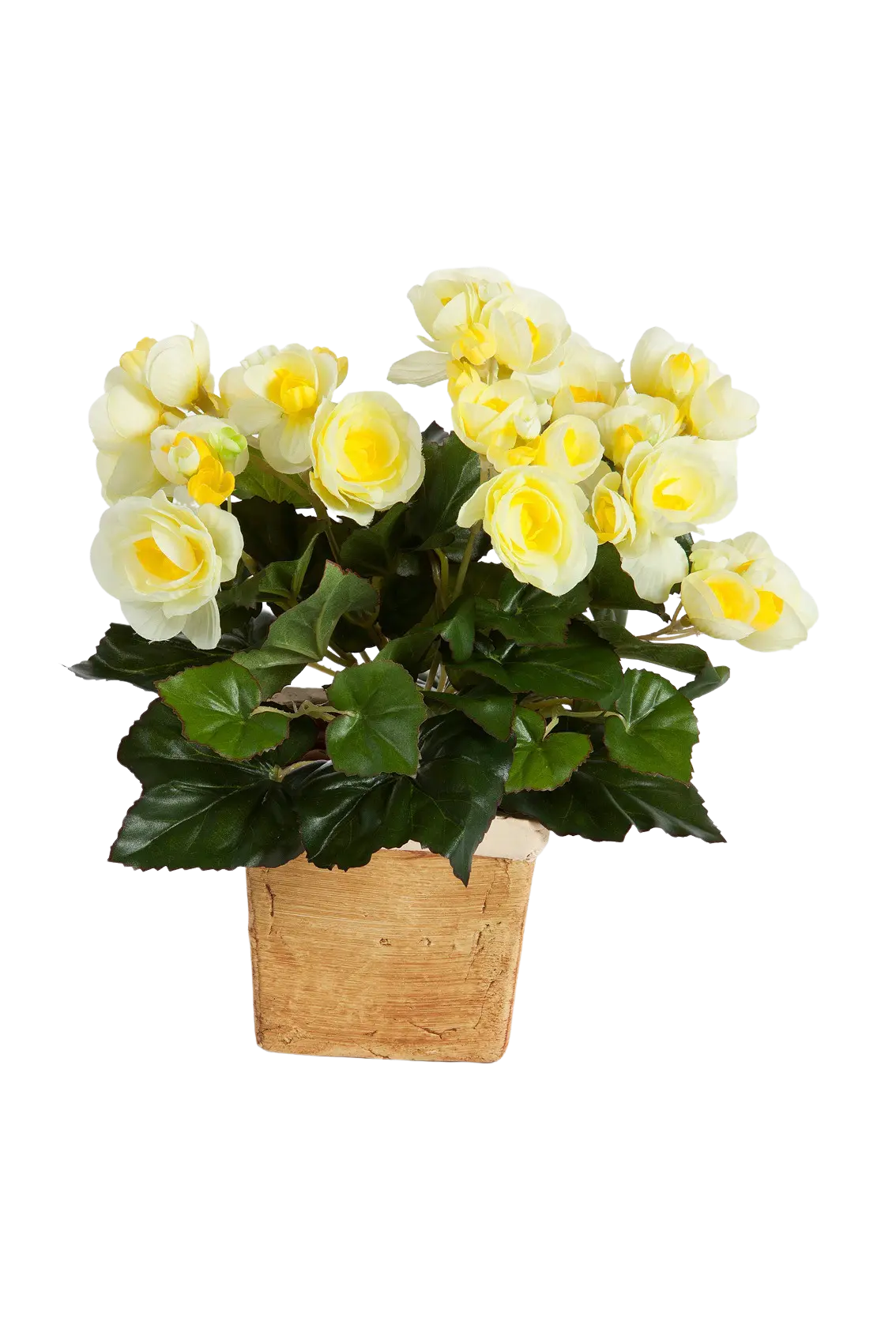 Begonia artificial - planta plug - Lara | 20 cm