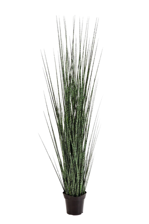 Césped artificial - Cebra | 120 cm