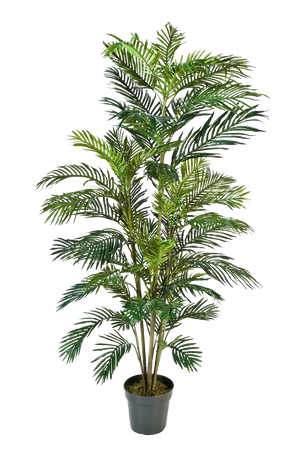 Palmera frutal dorada artificial - Connor | 180 cm