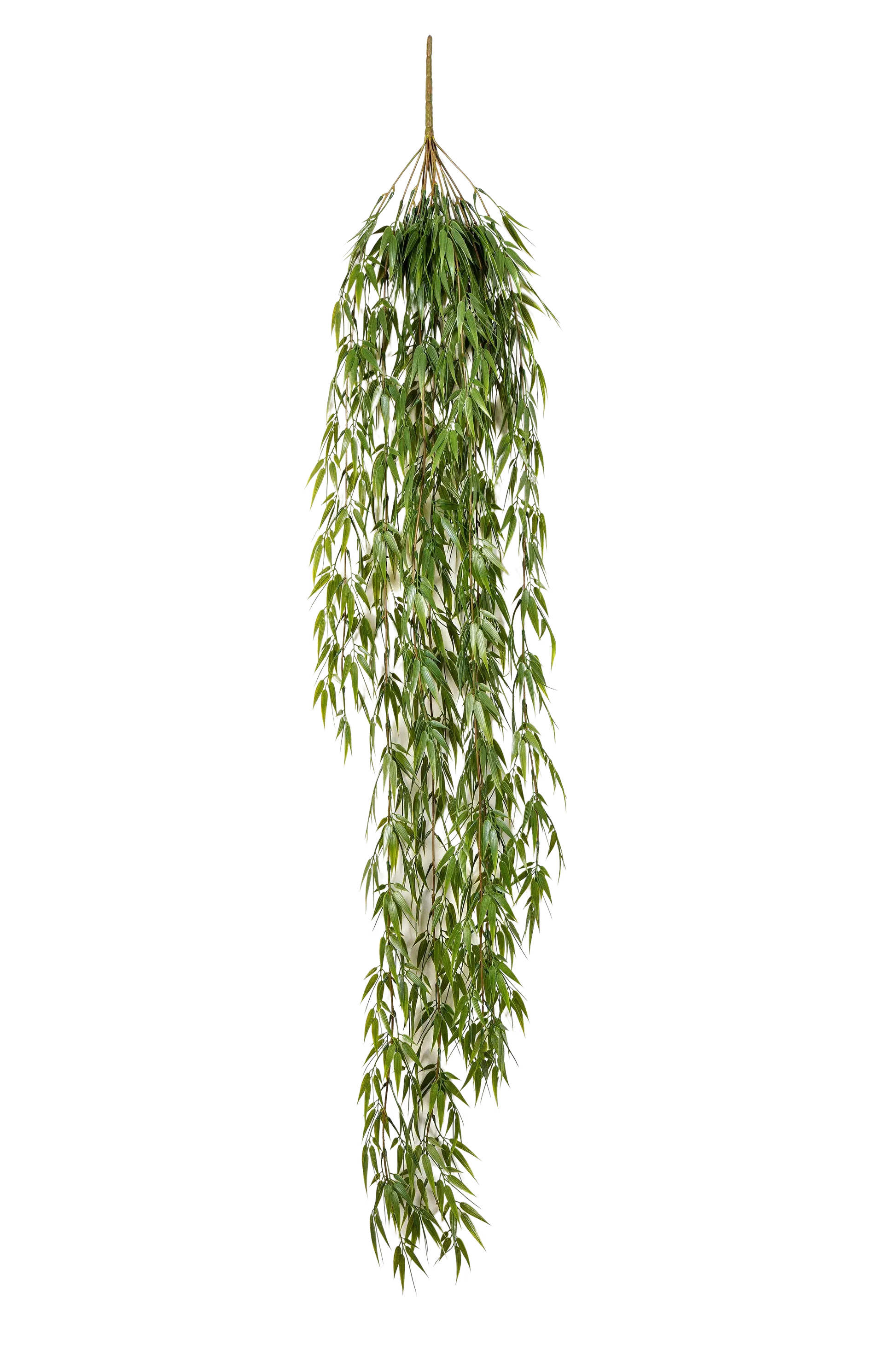 Hochwertiger Kunstbambus auf transparentem Hintergrund mit echt wirkenden Kunstblättern in natürlicher Anordnung. Künstlicher Hänge-Bambus - Emely hat die Farbe Natur und ist 115 cm hoch. | aplanta Kunstpflanzen
