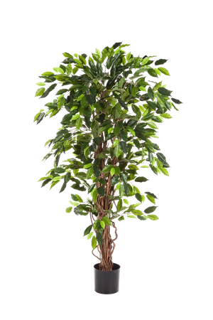 Künstlicher Ficus - Issa, 120 cm, Kunstbaum von aplanta, in Natur, für drinnen