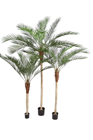 Palmera datilera artificial - Kian | 240 cm