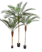 Palmera datilera artificial - Kian | 240 cm