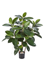 Künstlicher Gummibaum - Laura auf transparentem Hintergrund mit echt wirkenden Kunstblättern. Diese Kunstpflanze gehört zur Gattung/Familie der "Gummibäume" bzw. "Kunst-Gummibäume".