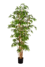 Künstlicher Bambus - Lucia | 200 cm