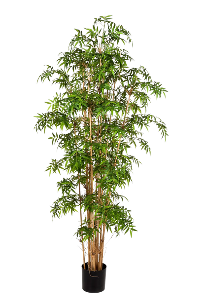 Künstlicher Bambus - Lucia | 200 cm