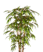 Künstlicher Bambus - Lasse auf transparentem Hintergrund mit echt wirkenden Kunstblättern. Diese Kunstpflanze gehört zur Gattung/Familie der 