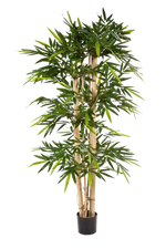 Hochwertiger Kunstbambus auf transparentem Hintergrund mit echt wirkenden Kunstblättern in natürlicher Anordnung. Künstlicher Bambus - Michael hat die Farbe Natur und ist 300 cm hoch. | aplanta Kunstpflanzen