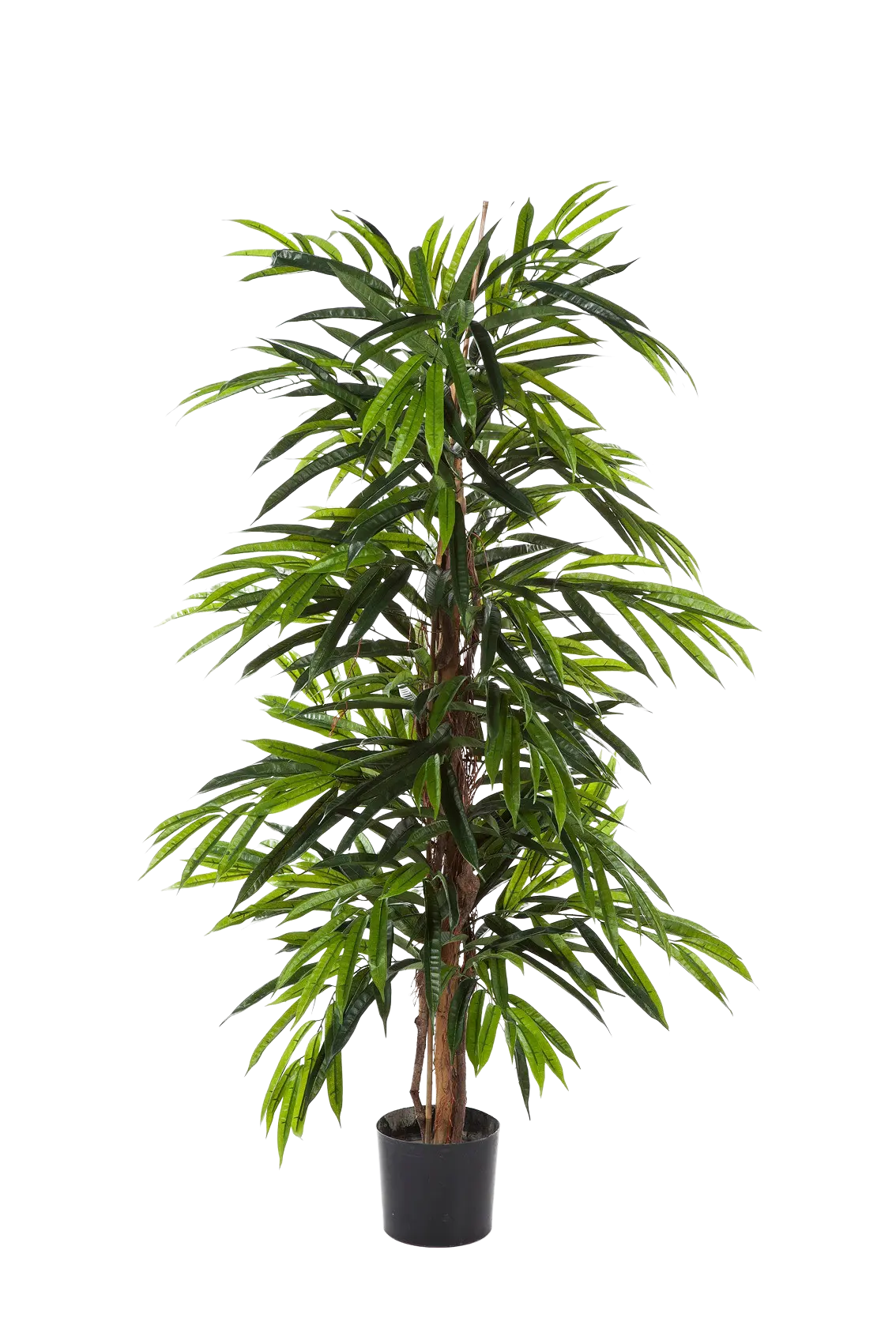 Longifolia artificial - Maurice | 180 cm