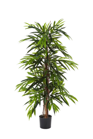 Longifolia artificial - Maurice | 180 cm