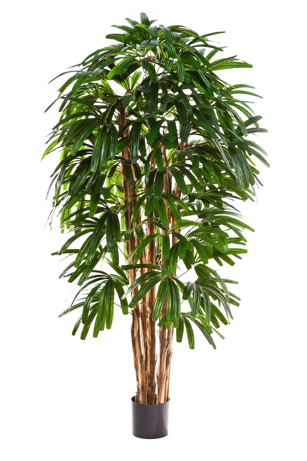 Palmera artificial - Noemi | 210 cm