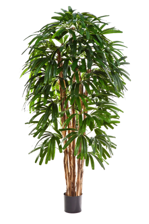 Palmera artificial - Noemi | 210 cm