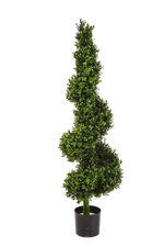 Hochwertiger Buchsbaum künstlich auf transparentem Hintergrund mit echt wirkenden Kunstblättern in natürlicher Anordnung. Künstliche Buchsbaum - Selina hat die Farbe Natur und ist 135 cm hoch. | aplanta Kunstpflanzen