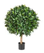 Künstlicher Lorbeer - Tessa auf transparentem Hintergrund mit echt wirkenden Kunstblättern. Diese Kunstpflanze gehört zur Gattung/Familie der 