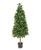 Künstlicher Lorbeer - Tamina auf transparentem Hintergrund mit echt wirkenden Kunstblättern. Diese Kunstpflanze gehört zur Gattung/Familie der 