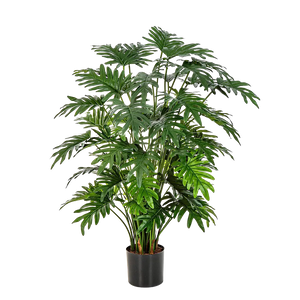 Künstlicher Philodendron - Therese auf transparentem Hintergrund mit echt wirkenden Kunstblättern in natürlicher Anordnung. Künstlicher Philodendron - Therese hat die Farbe Natur und ist 100 cm hoch. | aplanta Kunstpflanzen