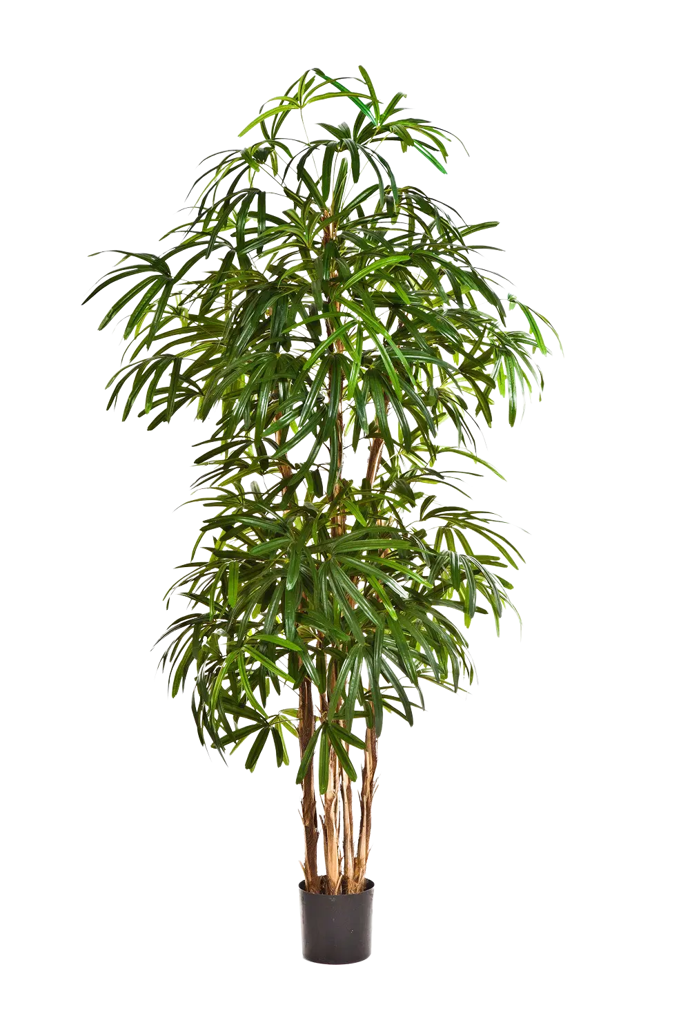 Palmera artificial - Nela | 200 cm